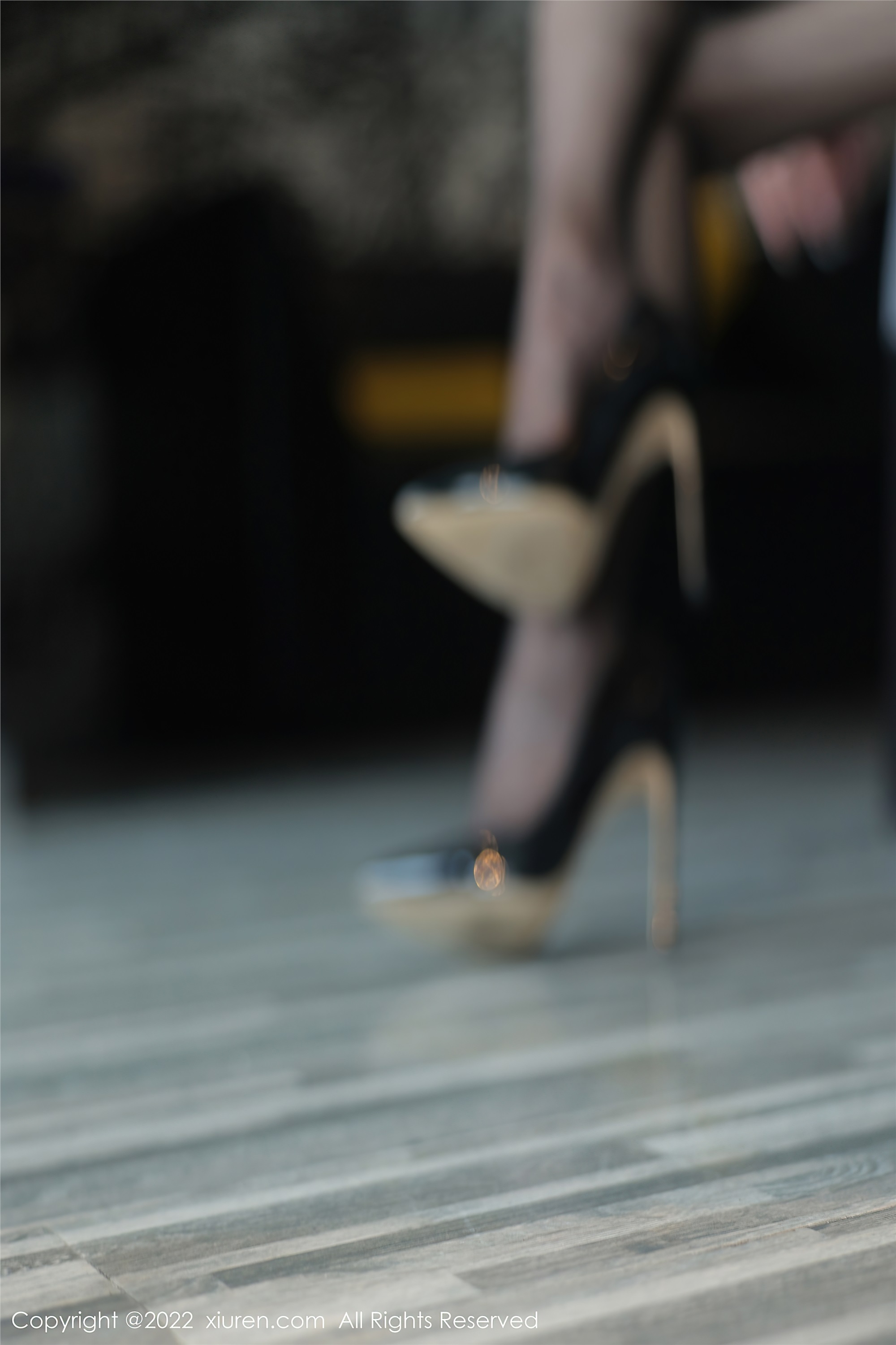 Xiuren秀人网 2022.10.11 NO.5691 顾楚楚Maily